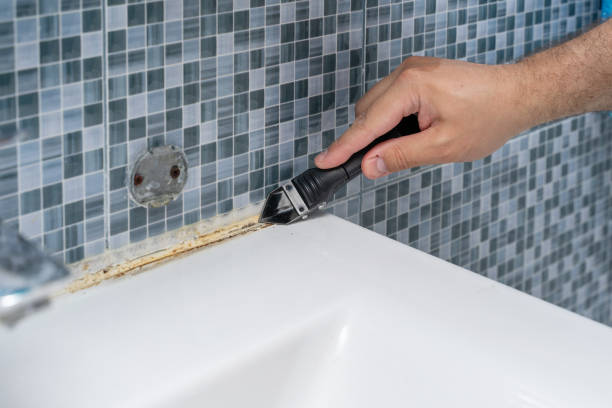 Best Emergency Mold Remediation in Mariemont, OH